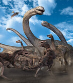 黄河大恐竜展、北海道札幌市の月寒ドームで8月26日まで開催