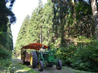 岩手県の小岩井農場で「まきばの夏休み」と題したイベントを開催中