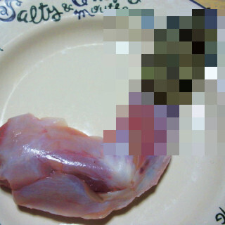 「ワニ」の前足を恐る恐る食べてみた