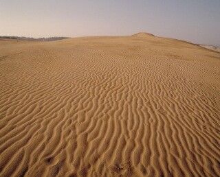 幻想的な砂の景色と地元ならではのグルメを堪能!　鳥取砂丘攻略ガイド