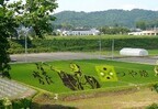 山形県米沢、田んぼアートで稲を刈ろう!!　稲刈り体験の参加者を募集中