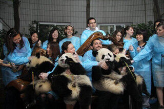 パンダの保護に関わることを熱望する「成都パンダ大使」3名募集