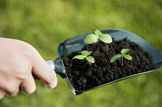 Japanglish、正しく言うならこうでしょう (168) schop(スコップ)