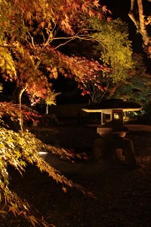 神奈川県・湯河原町立湯河原美術館で、ライトアップされた紅葉と絵画を鑑賞