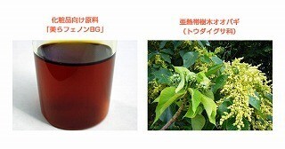 沖縄発、抗酸化力のあるオオハギポリフェノールを製品化。第1号は化粧品