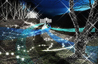 神奈川県相模湖の森にLED400万球の輝き!「光のテーマパーク」が期間限定オープン