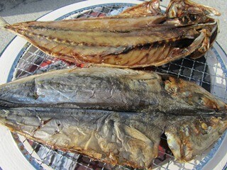 東京都お台場海浜公園で干物の王様!　新島村の”くさや”が味わえる