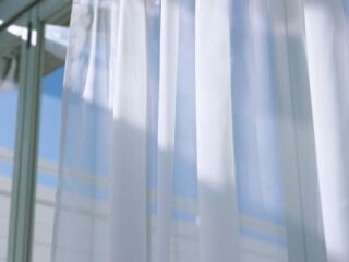 海？　山？　夜景？　「家の窓から見たい風景」とは……