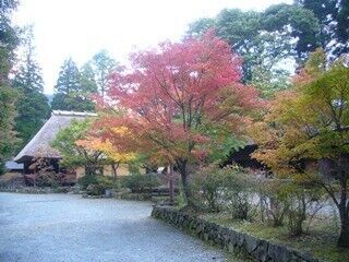 熊本県、山あいの紅葉と平家伝説の地「五家荘」で紅葉祭開催!