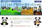 東京都・上野動物園 ジャイアントパンダのライブ映像配信開始