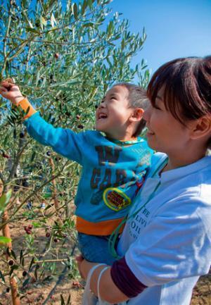 香川県小豆島でオリーヴ尽くし!　「オリーヴの森感謝祭2012」11/25開催