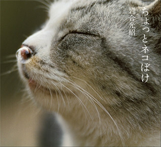 宮城県田代島のネコの写真集など3冊が電子書籍化!-小学館