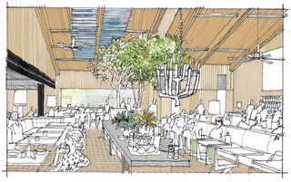 東京都表参道のカジュアルダイニング「bills」がハワイ進出!