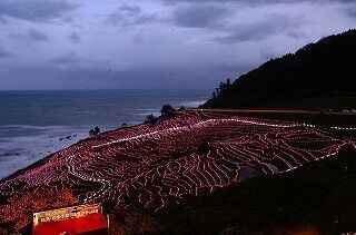 石川県輪島市、千枚田に輝くLED2万個のイルミネーションがギネス記録に認定