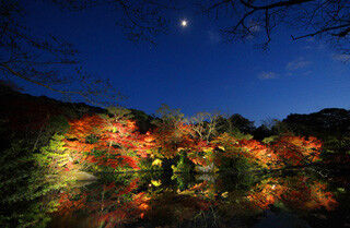 佐賀県武雄市「御船山楽園」で、紅葉のライトアップイベント開催