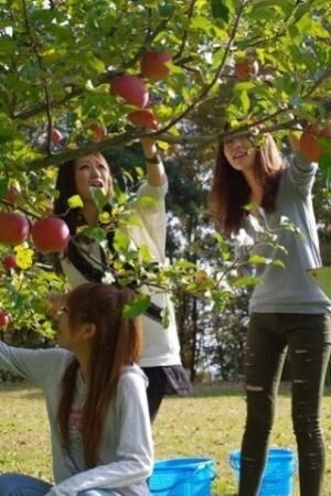 長野県飯綱町でプチ農園体験!　「りんご体験ツアー」で旬の果物を収穫!