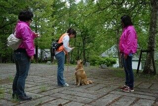 神奈川県横浜市「ハウスクエア横浜」で愛犬にマテをさせるイベントが開催