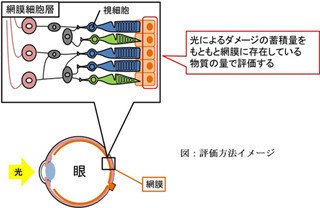 静岡県立大学とわかさ生活が視覚改善作用評価法を構築