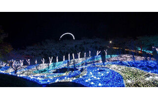 神奈川県相模原市で、光の祭典「さがみ湖イルミリオン」スタート