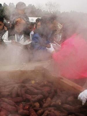 千葉県香取市で”ベニコマチ”の焼き芋を無料配布! 「栗源のふるさといも祭」
