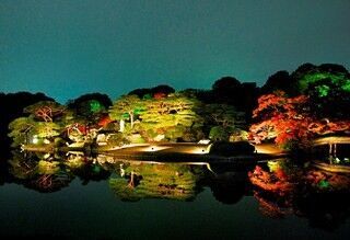 東京都随一の紅葉名所「六義園」で、大名庭園を幻想的にライトアップ