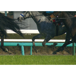 競馬好きの夢! 「競走馬」を走らせる際の”コスト”や”獲得賞金”の内訳は?