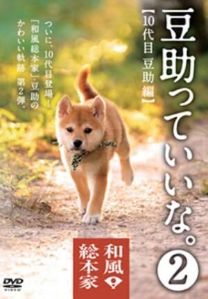 和風総本家のマスコット犬「豆助」のDVD第2弾発売!