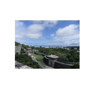 東京OL、沖縄に移住しました (11) 海だけではない沖縄の魅力