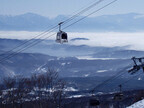 新潟県公式観光情報サイトで「スキー場オープン＆ゲレンデ情報」を公開中