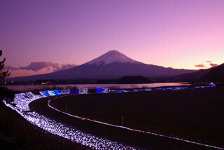 山梨県河口湖でイルミネーションイベント「光のナイアガラ＆ウェーブ」開催