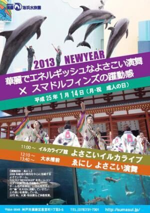 兵庫県・須磨海浜水族館で、イルカが「よさこい演舞」を披露!