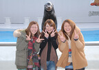 千葉県・鴨川シーワールドで、「笑うアシカと初笑いコンテスト」開催