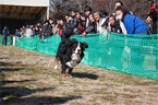 千葉県・成田ゆめ牧場で、ワンコだらけの「犬祭り」開催!!