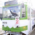 北海道・函館市電の車体更新車8000形8010号、「鉄道むすめ」仕様で発車!