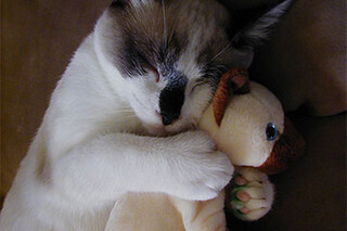 束縛してくる彼氏とうまく付き合う方法