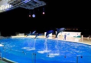 福岡県・「マリンワールド海の中道」で、”夜の水族館”が開催