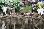 鹿児島県で、泥にまみれて豊作を願う祭り「せっぺとべ」開催