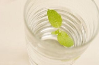 ゴキブリ、蚊に効果絶大！　自分でできるアロマ虫除け