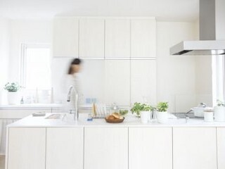 家庭用殺虫剤のプロに直撃！　コバエ退治に最も効く方法って？