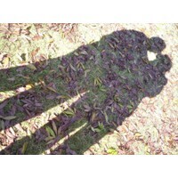 【エンタメCOBS】女性は何歳まで妊娠・出産が可能なの？