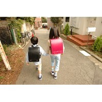 【COBCOB世論調査】妹派は幻想を抱きすぎ!? あこがれの兄弟編成