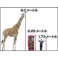 【エンタメCOBS】こんなにスゴイ、世界記録たち！