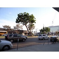 【エンタメCOBS】知ってる？　ナンバープレートの意外な雑学