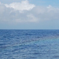 【雑学キング！】遺伝子レベルで伝わる「色の記憶」で暑さを乗り切ろう！