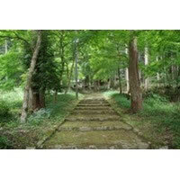 【エンタメCOBS】効果抜群!?　あなたの祈りが神様に届く、神社での作法