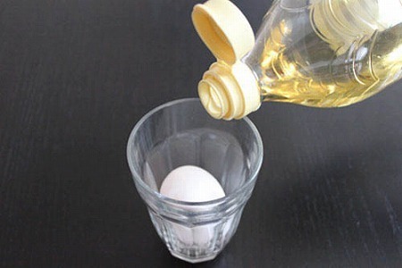 【エンタメCOBS】オトナもハマる!?忙しくてもカンタンにできる自由研究