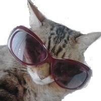 【雑学キング！】オシャレのためだけじゃない!　サングラスを日常的に使ったほうがいい理由