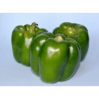 【エンタメCOBS】子供のころにキライだった食べ物は何ですか？