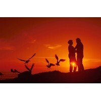 【エンタメCOBS】もしも科学シリーズ(13)もしも太陽が燃え尽きたら