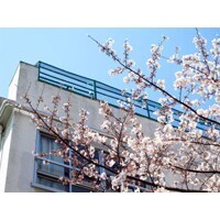 【エンタメCOBS】小学校の先生の大変な話